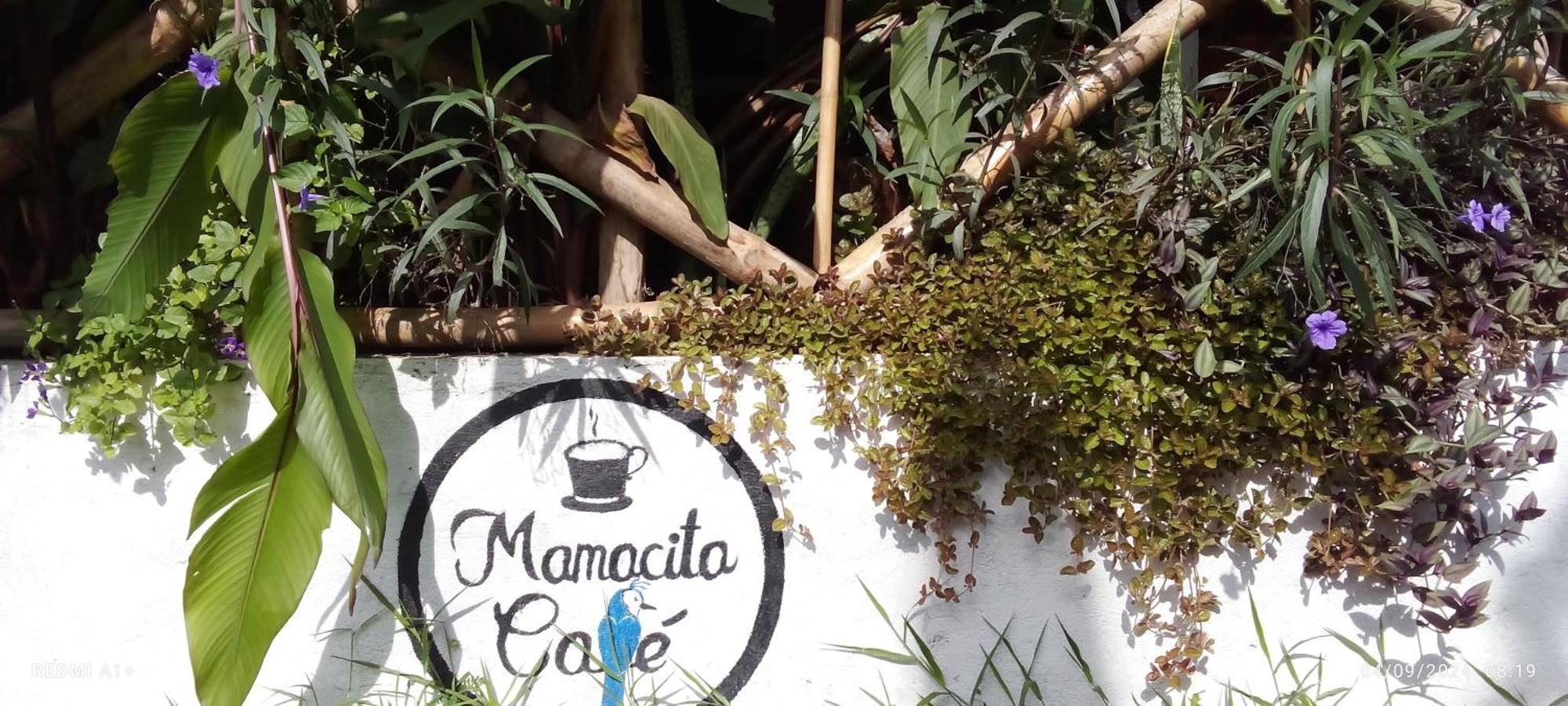 Mamacita Cafe House Hotel Moyogalpa Buitenkant foto